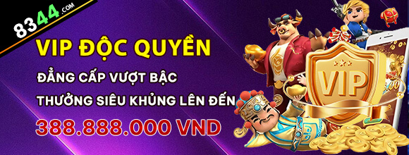 Hình ảnh quảng cáo của ngatvip hiển thị nền tảng và các lợi ích