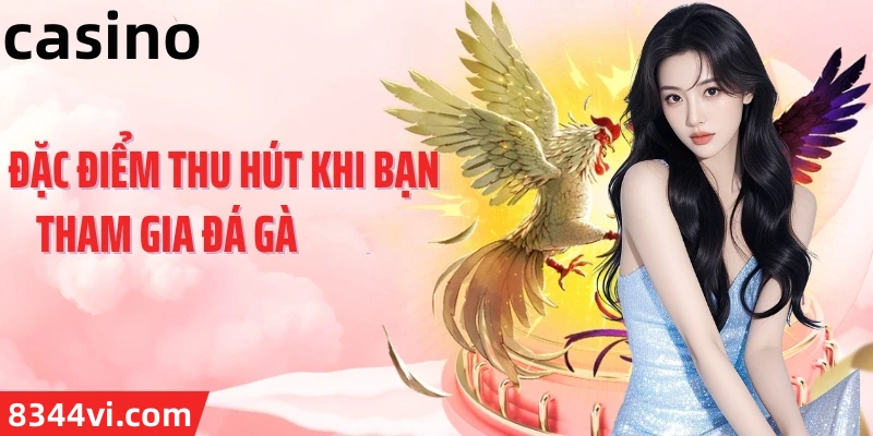 Hình ảnh quảng cáo của ngatvip hiển thị nền tảng và các lợi ích