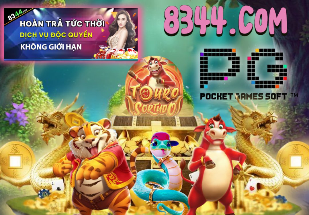 Hình ảnh quảng cáo của ngatvip hiển thị nền tảng và các lợi ích