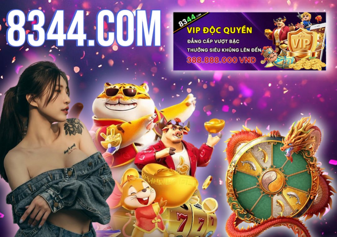 Hình ảnh quảng cáo của ngatvip hiển thị nền tảng và các lợi ích